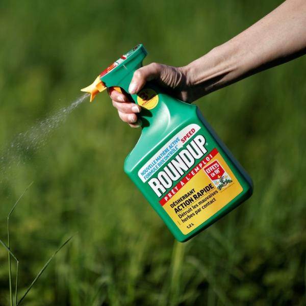 Glyphosate bayer plaide coupable Vigilance OGM